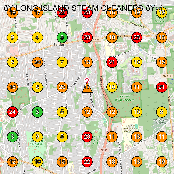 LONG ISLAND STEAM CLEANERS ðY›‹i¸ Carpet Cleaning Service GeoGrid ranking map for None